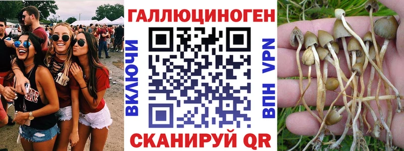 darknet какой сайт  продажа наркотиков  Куса  Псилоцибиновые грибы ЛСД  mega как войти 